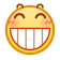 表情[ciya]-四季伴